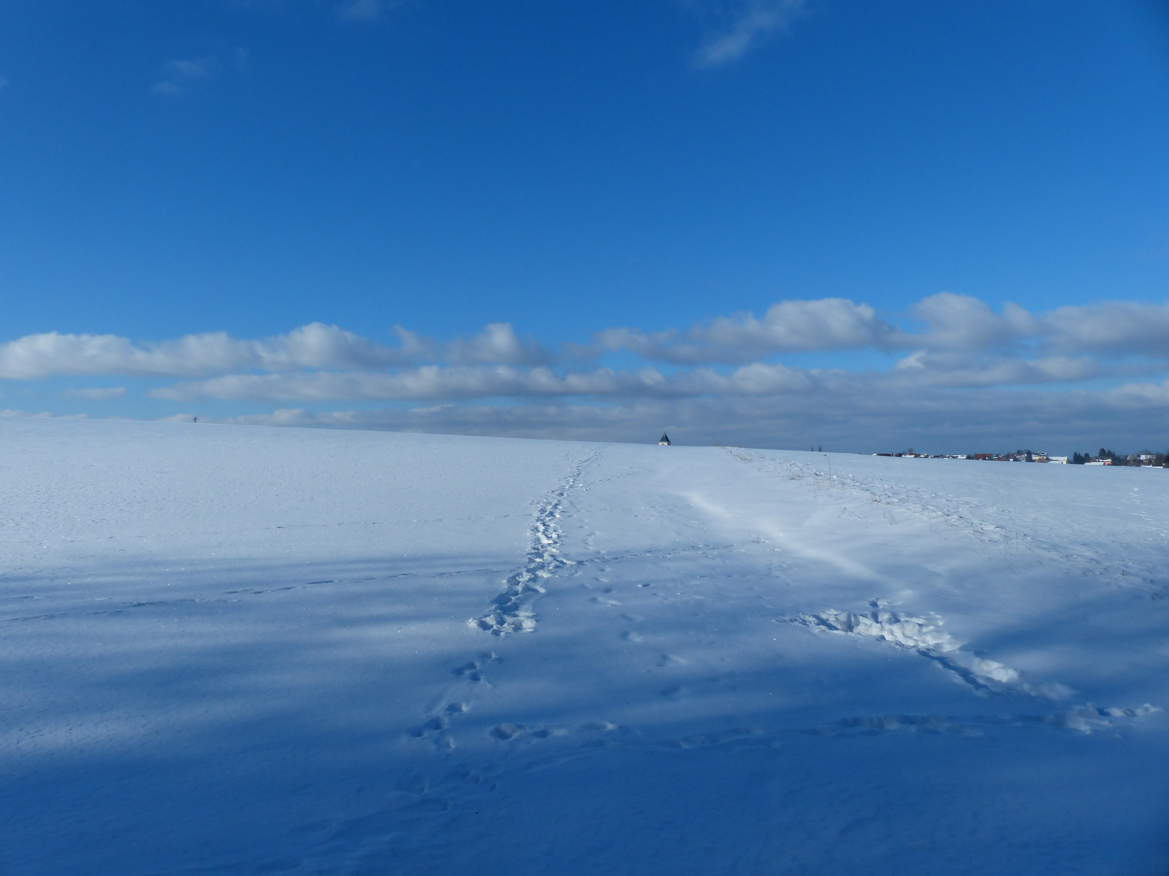 Foto zeigt eine Winterlandschaft in Pettendorf (6)